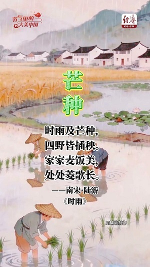 【節(jié)氣里的大美中國】 芒種：生命時序的色彩美學(xué)