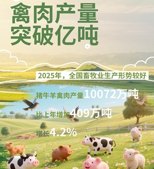 2025中國(guó)經(jīng)濟(jì)年報(bào)